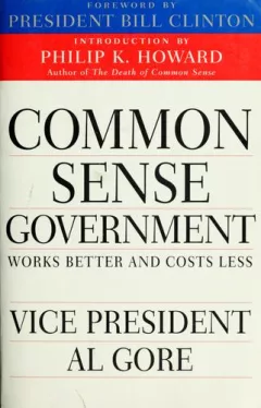 Common Sense Government