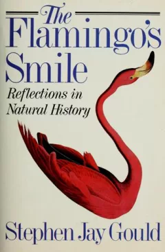 The flamingo's smile