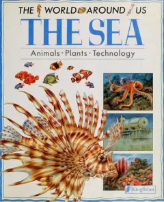 The sea