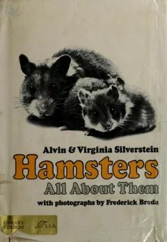Hamsters: all about them