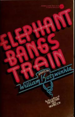 Elephant bangs train.