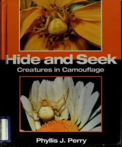 Hide and seek