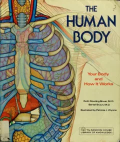 The human body