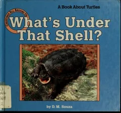 What's under that shell?