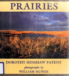 Prairies