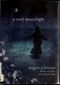 A cool moonlight