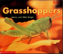 Grasshopper