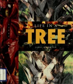 Life in a tree
