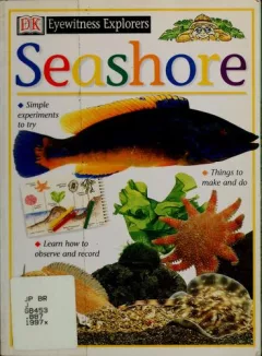 Seashore