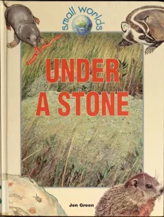 Under a stone