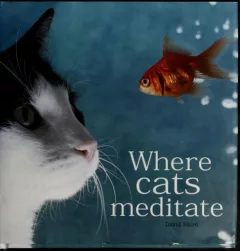 Where cats meditate
