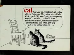 Cat (kat), n. ...