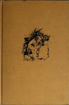 Lion yellow