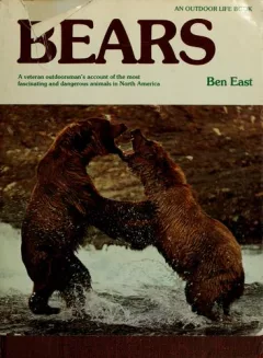 Bears