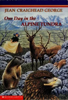 One day in the alpine tundra