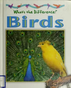 Birds
