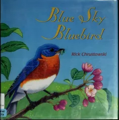 Blue sky bluebird