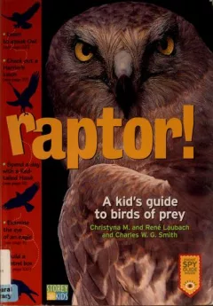 Raptor!
