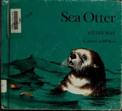 Sea otter.