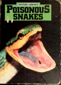 Poisonous snakes