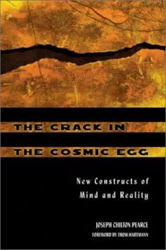 The crack in the cosmic egg