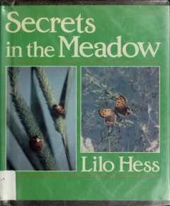 Secrets in the meadow