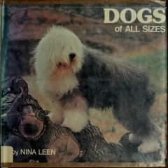 Dogs of all sizes.