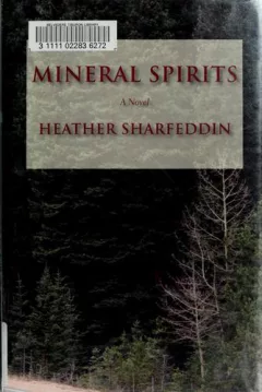 Mineral spirits