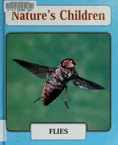 Flies