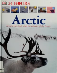 Arctic