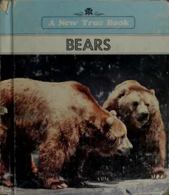 Bears