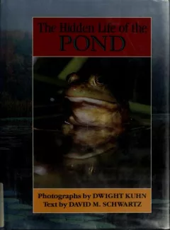 The hidden life of the pond