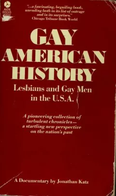 Gay American History