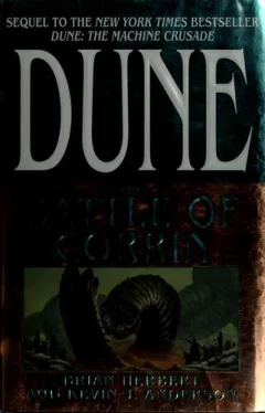Dune