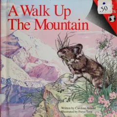 A walk up the mountain