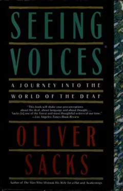 Seeing voices