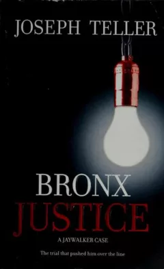 Bronx justice