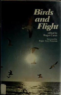 Birds in flight.