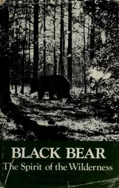 Black bear, the spirit of the wilderness