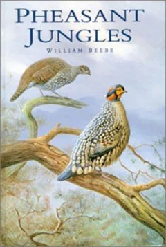 Pheasant Jungles