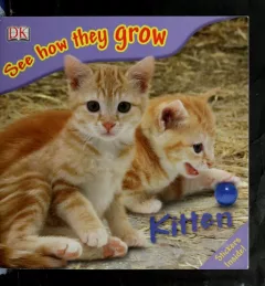 Kitten