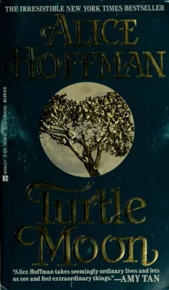 Turtle moon
