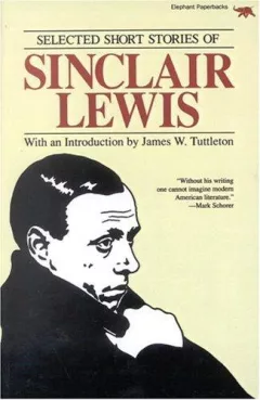 Selected short stories of Sinclair Lewis.