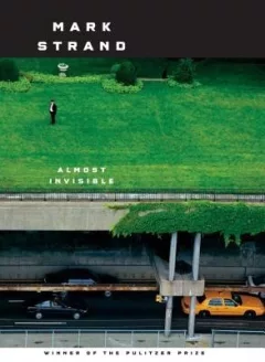 Almost invisible