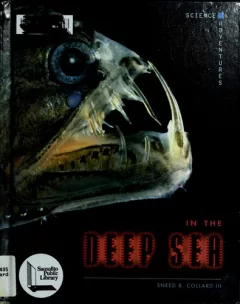 In the deep sea