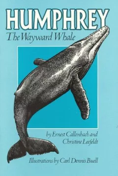 Humphrey the wayward whale