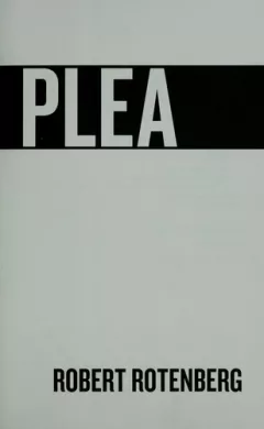 The guilty plea