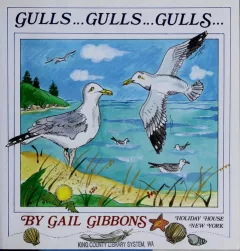 Gulls--gulls--gulls