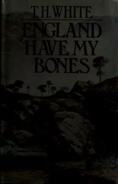 England have my bones