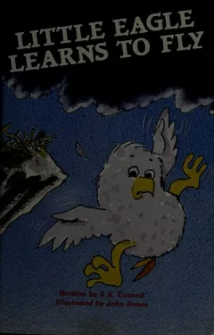 Little Eagle learns to fly